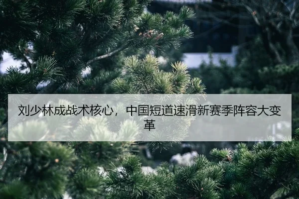 liu-shao-lin-cheng-zhan-shu-he-xin-zhong-guo-duan-dao-su-hua-xin-sai-ji-zhen-rong-da-bian-ge-2-435.jpg