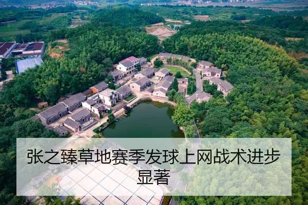 张之臻草地赛季发球上网战术进步显著