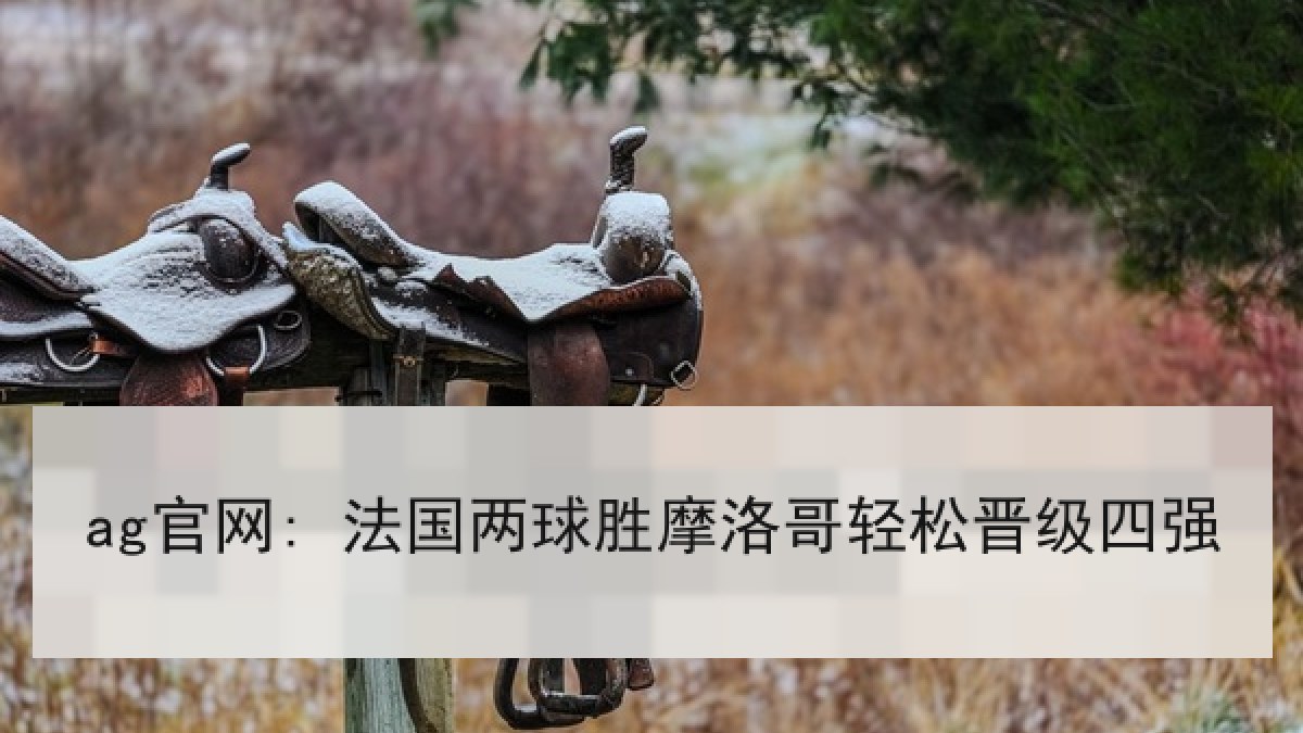 ag官网: 法国两球胜摩洛哥轻松晋级四强