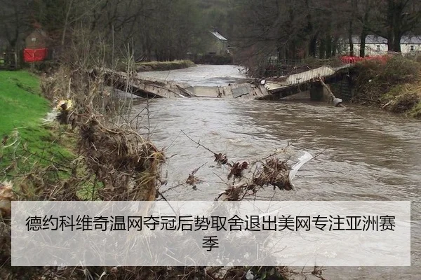 德约科维奇温网夺冠后势取舍退出美网专注亚洲赛季