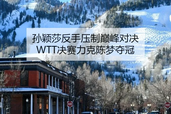 孙颖莎反手压制巅峰对决 WTT决赛力克陈梦夺冠